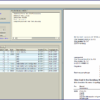 Layout des Testcockpits für PDF-basierte Druckformulare auf Basis der SAP Adobe Interactive Forms